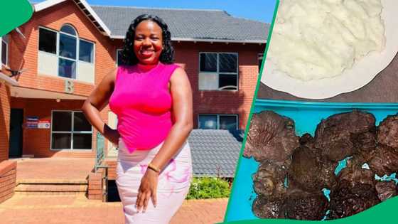 South African TikToker's horse meat blunder leaves mzansi in stitches