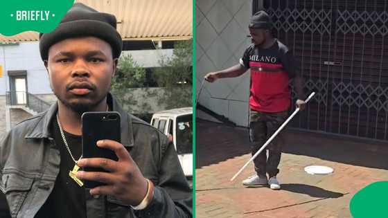 "Playing with fire": Snake enthusiast captures massive black mamba in Lwamondo, leaves SA stunned