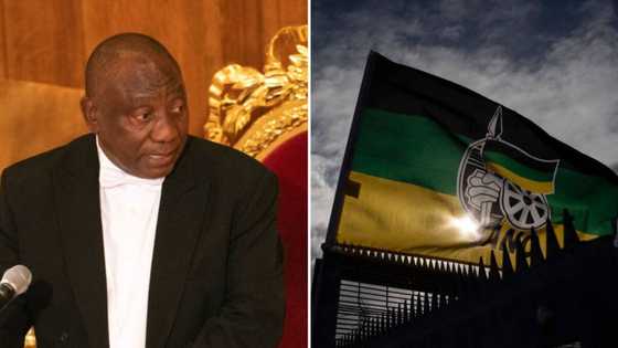 ANC elective conference: Cracks start to show as announcement of new top 7 looms