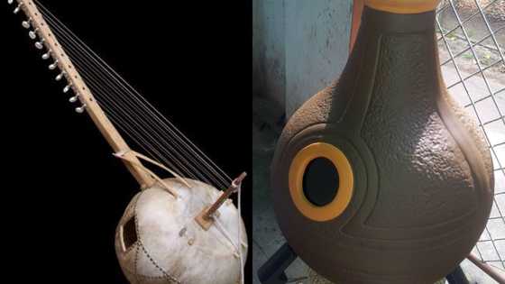 20 famous African musical instruments: names and pictures