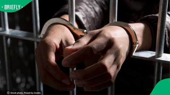 KZN SAPS arrests second suspected serial rapist in days, 36-year-old linked to 14 victims since 2010