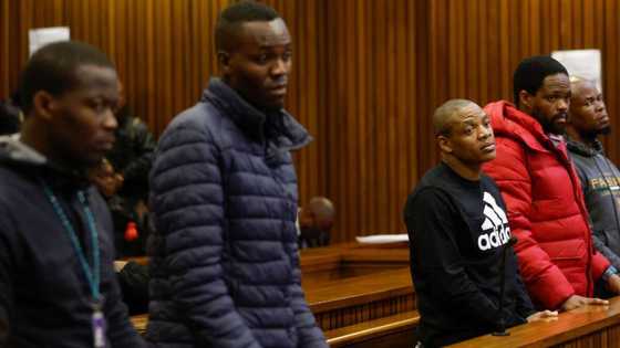 Senzo Meyiwa murder trial: Neighbour testifies he saw a man in the Khumalo kitchen night of murder