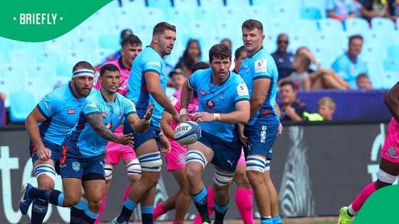 Vodacom Bulls forced to respond after viral mascot death hoax spreads online
