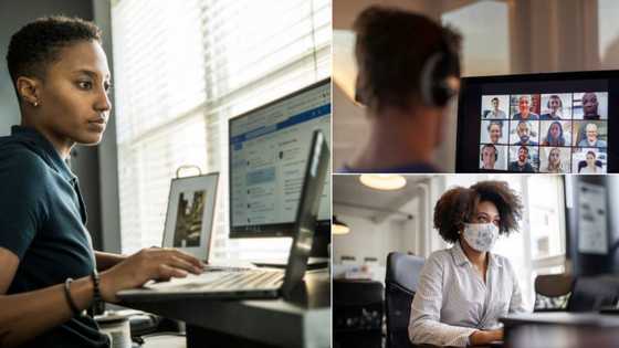 Business News: People feel isolated as connections in the typical workplace shrink