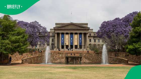 Wits Sociology Department condemns professors' controversial comments, leading to resignation