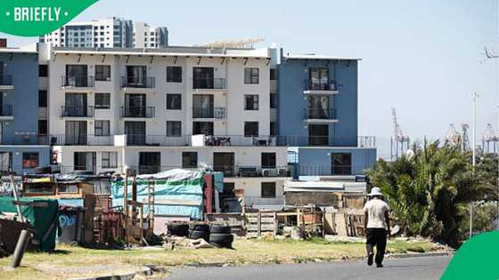 Cape Town residents protest land auctions amid housing crisis
