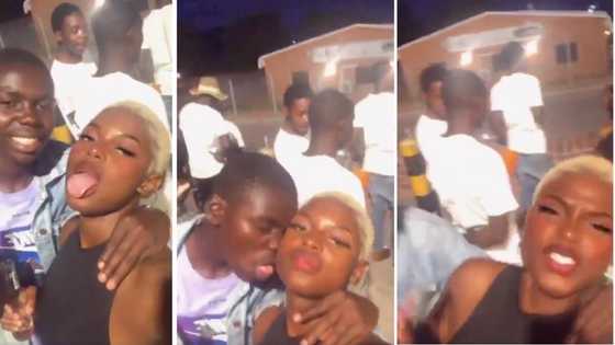 Dezemba problems: Guy gets carried away, tries to lick stunner and gets shut down with a 'voetsek'