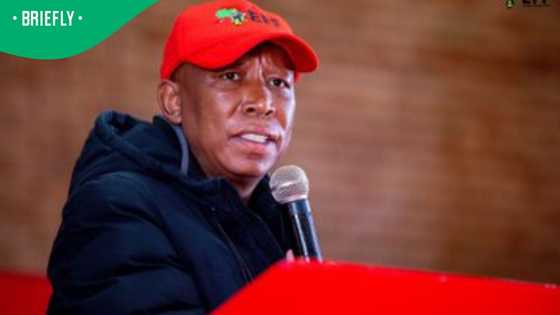 Julius Malema claims “political prisoner” status, denies comparing Fadiel Adams to Steve Biko