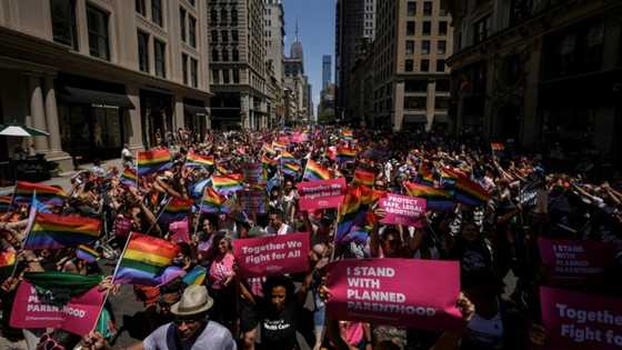 Stampede at New York Pride parade after fireworks mistaken for gunfire
