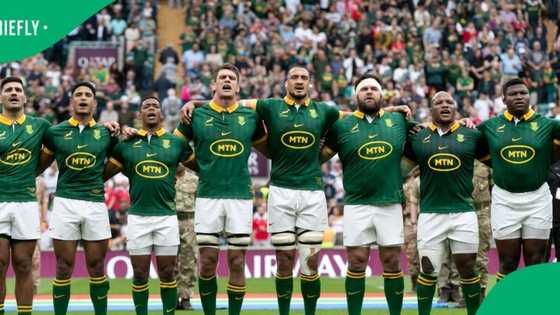 Springboks aim for strong start as Erasmus calls fans to Wembley