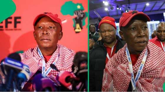 Economic Freedom Fighter's Julius Malema rejects Government of National unity