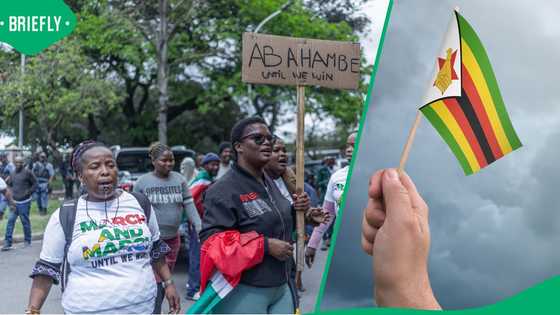 Zimbabweans struggle to rebuild lives after fleeing South Africa amid protests, social media reacts