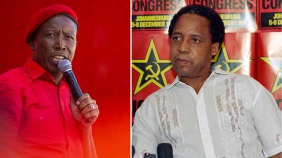 Portrait implying that Julius Malema is actually Chris Hani in disguise gets Mzansi all sorts of mad