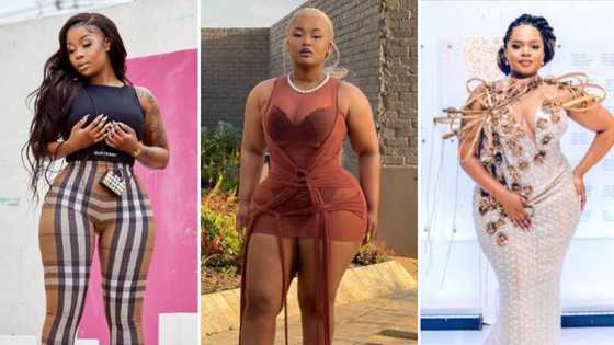 Lesedi Matsunyane-Ferguson, Sithelo Shozi, Cyan Boujee and Eva Modika: Stars who had plastic surgery in 2022