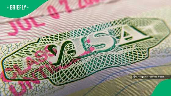 Some visa-free travellers now need a US visa under updated entry rules