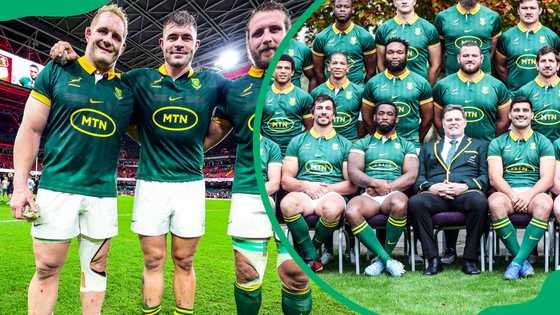 Springbok salary: How much do the players earn in 2025?