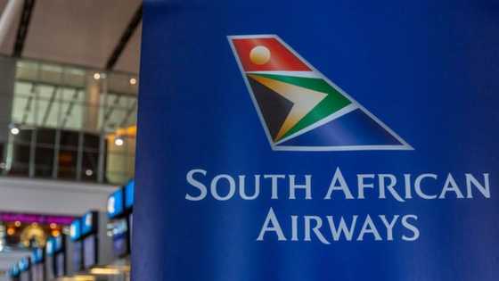 State Capture Reports reveals damning information on SAA, former chairperson wants NPA to get involved