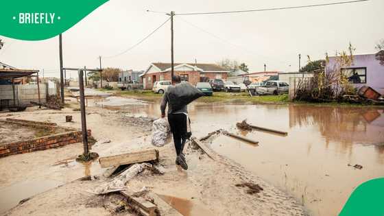 Over 150,000 Western Cape residents left homeless after devastating flood ravages province