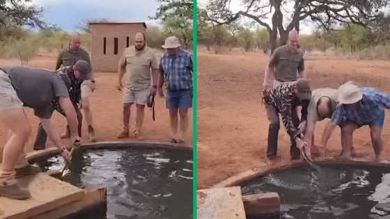 Men's hilarious attempt to remove snake from pond goes viral, SA laughing