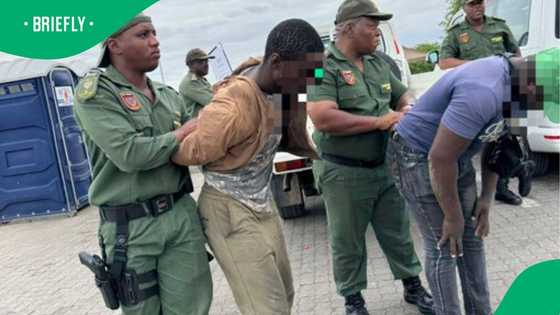 Two arrested for facilitating illegal crossings at Beitbridge: SA Reacts