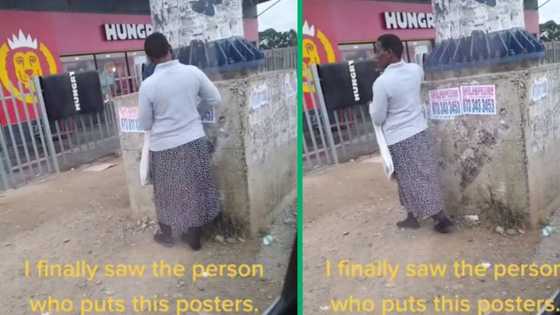 Lady caught mounting street poster adverts in Eastern Cape CBD, SA amused: "I thought they do it overnight"