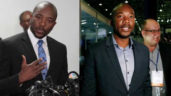 Mmusi Maimane calls for Cabinet reshuffle: "4 ministers need to rest"