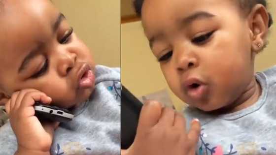 "I want one": Cute baby babbling on the phone leaves hearts melting