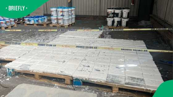 R450m cocaine plane case links Australian smuggler to Gauteng ‘Big Five Cartel’ base