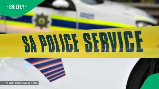 SAPS hop inside roofless car they spotted on road in TikTok video