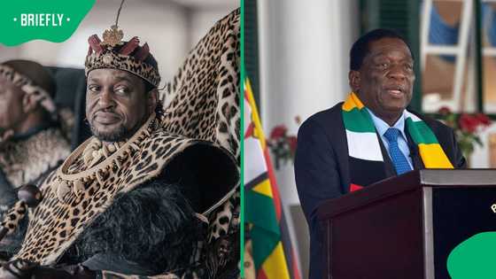 King Misuzulu and King Ndamase to visit Zimbabwe for xenophobia talks with Emmerson Mnangagwa
