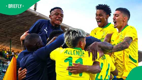 Thabang Sibanyoni: Sundowns axe Bafana star after six-year spell without a game