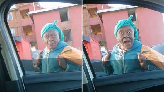 Witty gogo hilariously puts driver in his place after he told her to be quiet, SA left laughing out loud