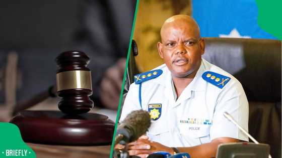 No reinstatement for Phahlane: Labour Appeal Court upholds 2020 dismissal