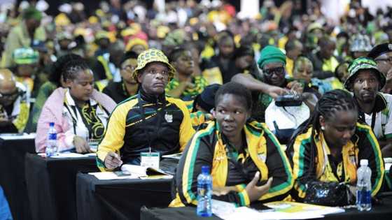 ANC called out for not being inclusive to LGBTQI+ community in new NEC, SA confused