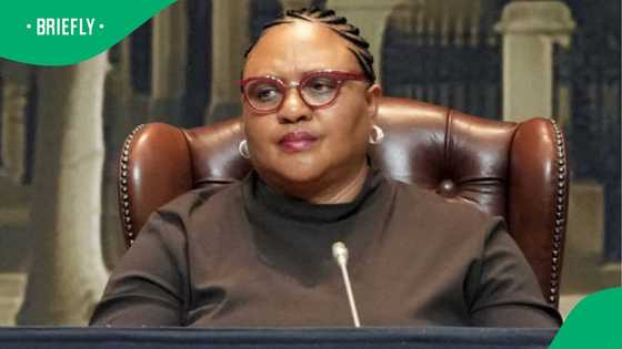ANC’s Thoko Didiza Dismisses Presidency Speculation: 'The Matter Doesn’t Arise'