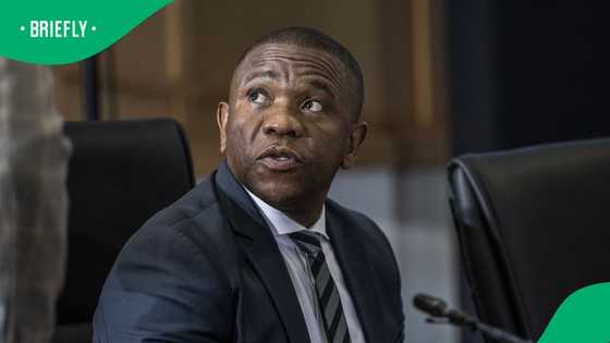 General Nhlanhla Mkhwanazi says state money used to build wall around Nathi Mthethwa's house