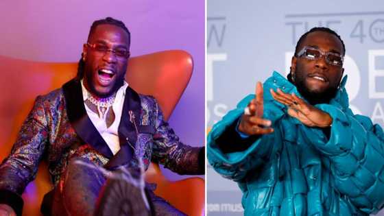 “You never offer me no drink”: Burna Boy steals Trevor Noah's shine on 'The Daily Show'