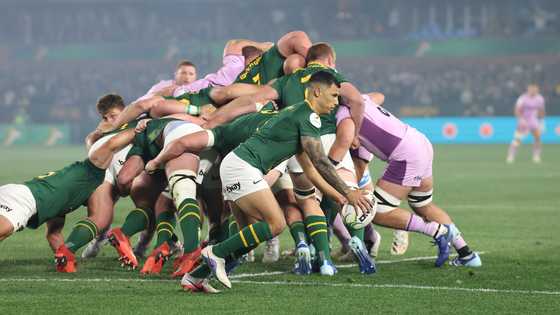 Erasmus' selection call puts Springboks star's All Blacks hopes in doubt
