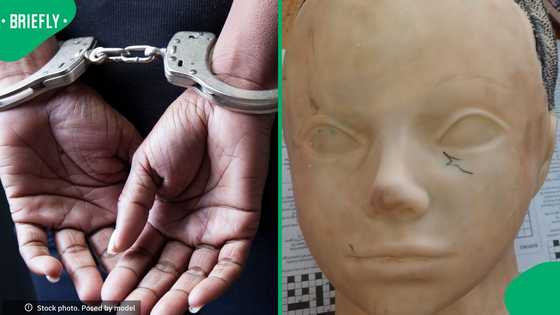 South Africans amazed by R300K drug bust as woman arrested after cocaine is found inside doll head