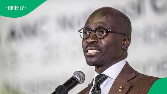 Fikile Mbalula confirms ANC's step-in policy for Malusi Gigaba after court appearance