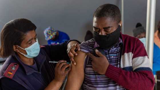 Mzansi divided over vaccine certificate, many feel freedom is being eroded