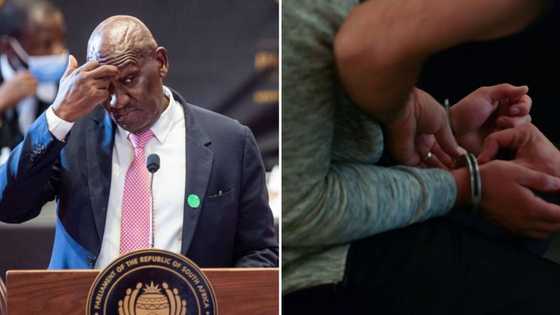 Bheki Cele orders police to do their jobs by arresting Finetown mass shooters, SA unimpressed