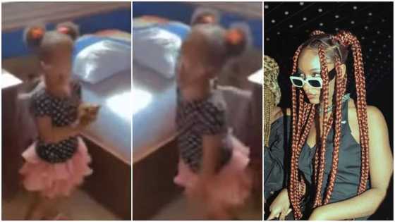 Does she know how to read ABC? Reactions as little girl sings Ayra Starr's Bloody Samaritan song