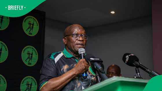 uMkhonto weSizwe: Zuma's new task team faces scrutiny as elections approach