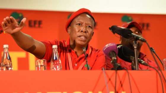 Julius Malema's stern New Year's message: We don’t want you to die