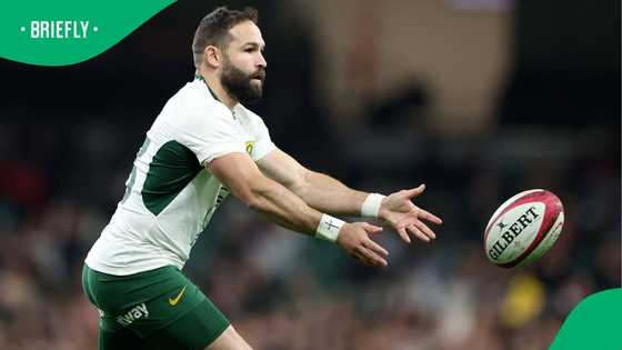 Springboks sweating as Cobus Reinach injury sparks fresh fears