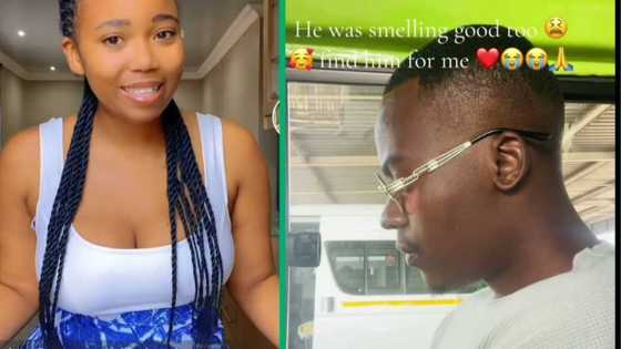 South African woman asks TikTok users to help find her taxi crush, shares TikTok video