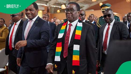 Zimbabweans rerturning home will not receive special treatment: Emmerson Mnangagwa