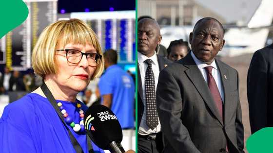 Democratic Alliance leader Helen Zille admits prioritising business interests over South Africans