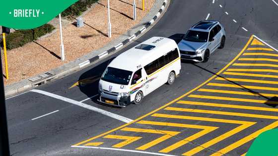 Outrage as Polokwane taxi association increases fare: "Bus is a solution"
